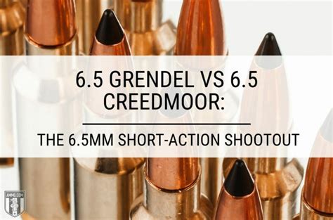 6.5 Grendel vs 6.5 Creedmoor: The 6.5mm Short-Action Shootout – The Burning Platform