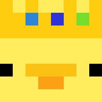 Duck with Hat | Minecraft Skin