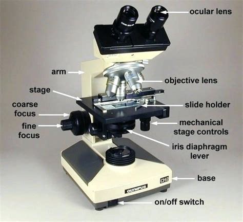 The Microscope’s Iris Diaphragm: What it Does And How it Works » Microscope Club