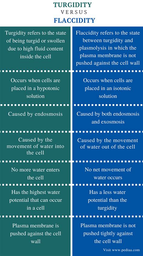 Difference Between Turgidity and Flaccidity - Comparison Summary ...