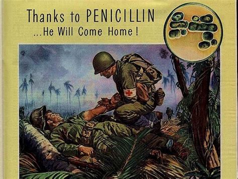 Penicillin: Discovery and Development | Teaching Resources