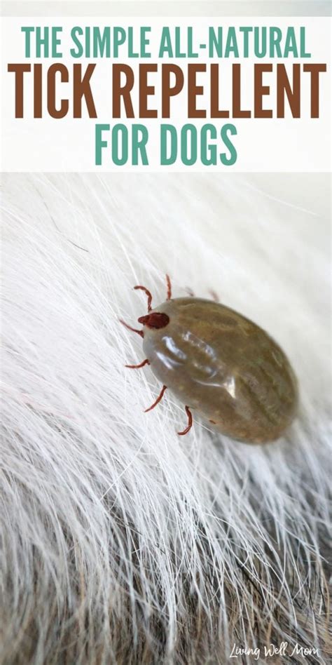 The Simple All-Natural Tick Repellent for Dogs {with Video!}