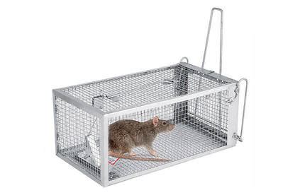 Rodent Control in the food supply chain | Ecobloc