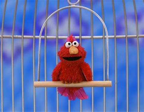 Elmo's World: Pets - Muppet Wiki