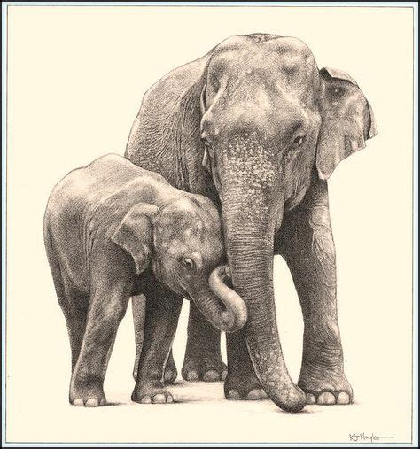 'Jumbo Family' Asian Elephants - Fine Art Pencil Drawings (With images ...