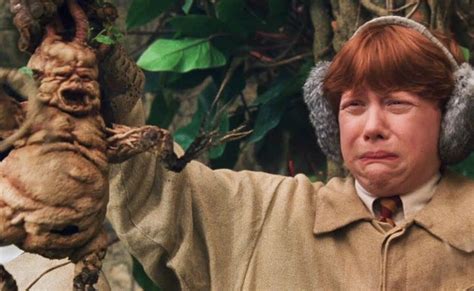 Ron & Mandrake - Harry Potter and the Chamber Of Secrets (2002) | Harry potter mandrake, Harry ...