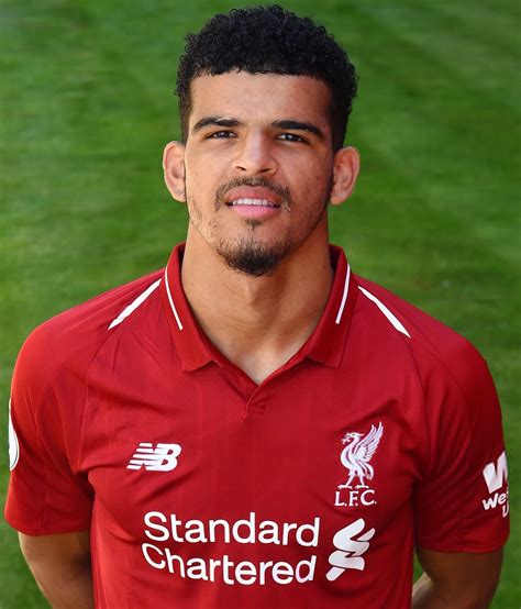 Dominic Solanke | Liverpool FC Wiki | Fandom