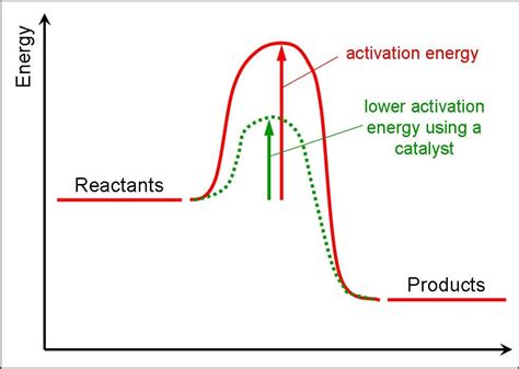 Customer Activation Curve – Frontiers – Medium