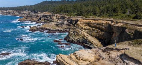 10 Reasons Why Shore Acres State Park is the “Jewel of the South Coast” | Oregon's Adventure Coast