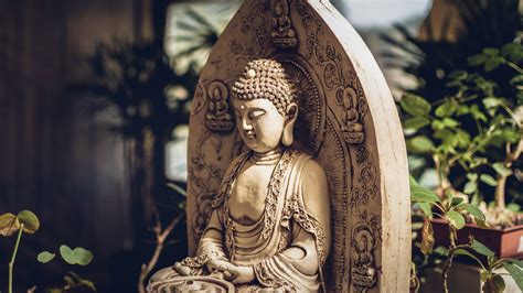 Buddhism Beliefs : Everything That You Need to Know | TheMindFool