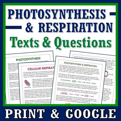 Photosynthesis and Cellular Respiration Article and Worksheet Set - Flying Colors Science