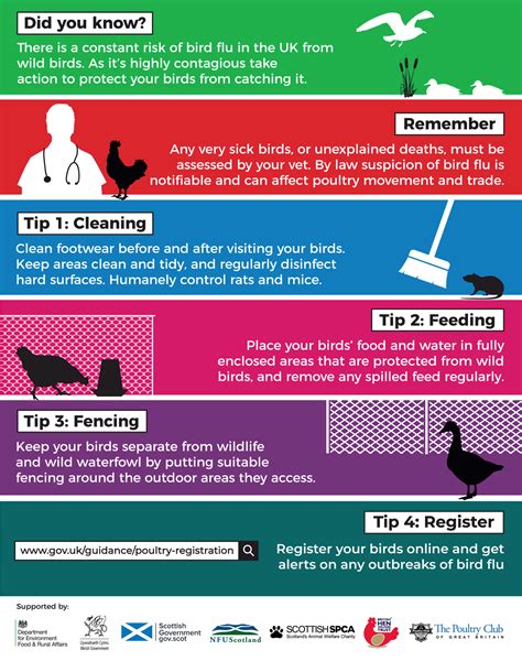 Avian Influenza (Bird Flu) | British Hen Welfare Trust