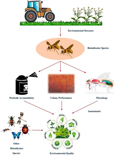 What Are Indicator Species? Examples Of Bioindicators, 46% OFF