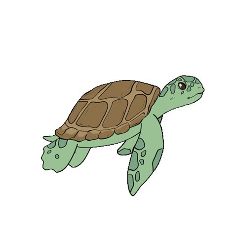 Sea Turtle Stickers - Find & Share on GIPHY