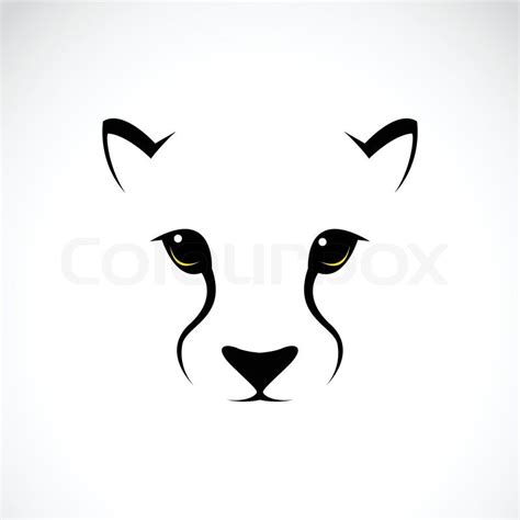 Vector image of an cheetah face on ... | Stock vector | Colourbox