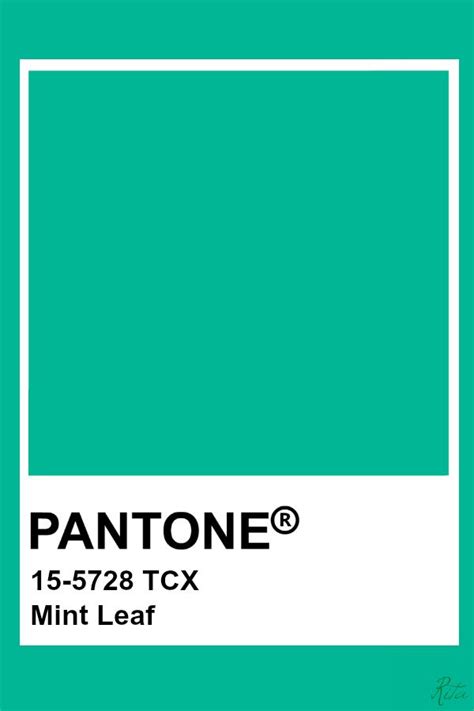 Pantone Mint Leaf | Kleurinspiratie, Aqua blauw, Foto muren