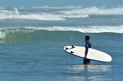 Surfing in Muriwai Beach - New Zealand Editorial Stock Photo - Image of extreme, people: 48569163