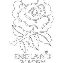 England rugby team coloring pages - Hellokids.com