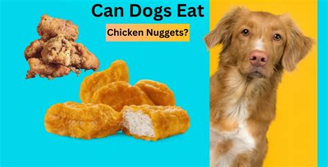 Can Dogs Eat Chicken Nuggets? The Complete Guide To The Benefits, Risks ...