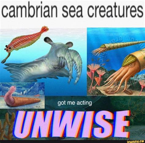 Cambrian sea creatures got me acting UNWISE. - iFunny