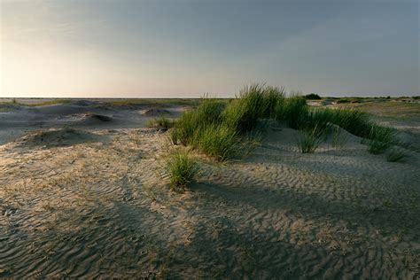 Borkum :: Behance