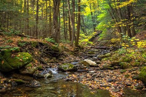 Mount Greylock State Reservation