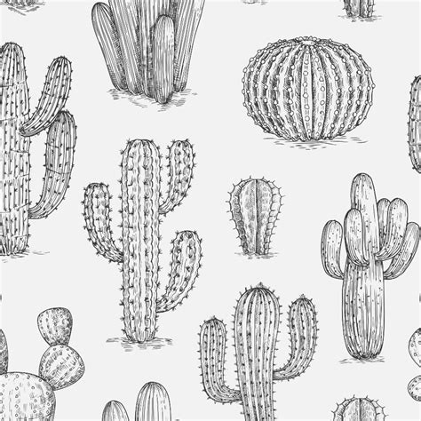 Cactus Wallpaper - Peel and Stick - Free Shipping to US - The Wallberry
