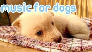 Best Calming, Relaxing Music for Your Dog √ Specially Designed Tunes ...