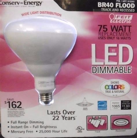 Where To Buy Feit Light Bulbs | Ruivadelow
