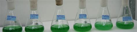 Universität Düsseldorf: Synthetic Triterpene Biosynthesis