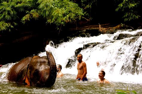 Mondulkiri Project - Elephant Adventures and Jungle Trek tours | Day tours, Trekking tour, Asia ...