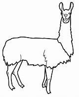 Printable Llama Coloring Page  Free Pages sketch template
