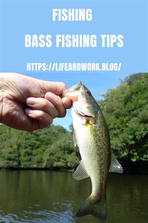 Bass Fishing Tips