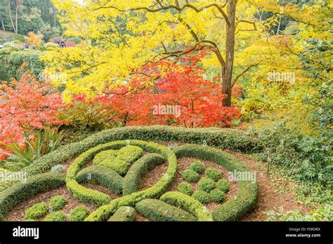 Fall colour, above the Sunken Garden, Butchart Gardens, Brentwood Bay ...