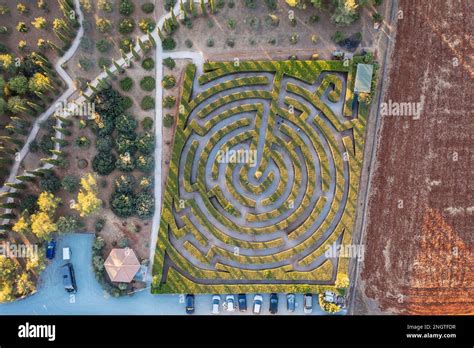 Maze in CyHerbia Botanical Park and Labyrinth in Cyprus island country ...