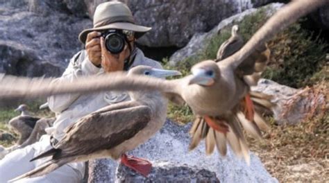 Tips on How to Become an Ornithologist - Birds Flight