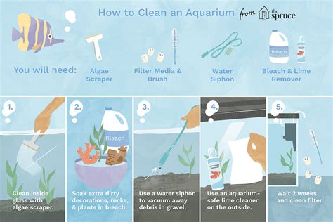 27+ How Do I Clean The Rocks In My Fish Tank Ideas - Help Your Ideas