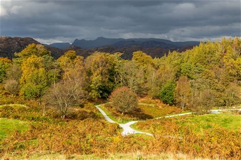 Tarn Hows walk - Coniston walks - Lake District walks