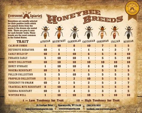 dna - How to identify the subspecies/breed of a bee - Biology Stack ...