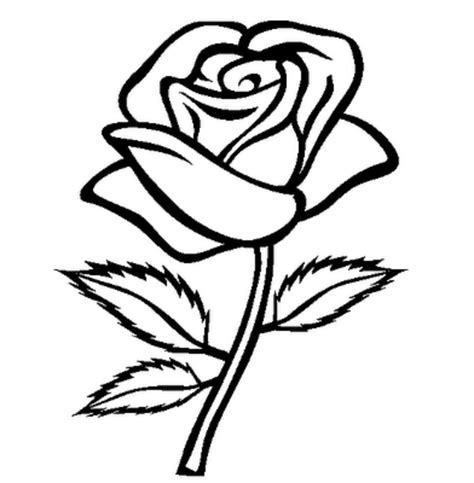 Free Cartoon Rose Black And White, Download Free Cartoon Rose Black And White png images, Free ...