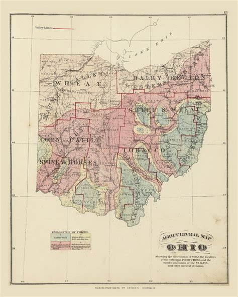 Ohio Agriculture 1875 Old Town Map Reprint Fayette County - Etsy