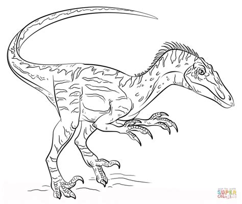 Velociraptor coloring page | Free Printable Coloring Pages