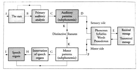 Distinguishing between active vs passive perception - Linguistics Stack Exchange