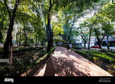 Parque Mexico, Colonia Condesa, CDMX, Mexico, city Stock Photo - Alamy