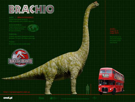 Brachiosaurus | Wiki Jurassic Park | Fandom powered by Wikia