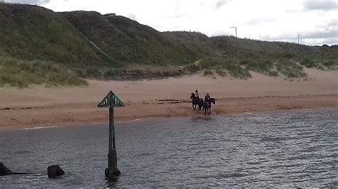 Seaton Sluice Beach - Photo "Sea Horses, Seaton Sluice" :: British Beaches