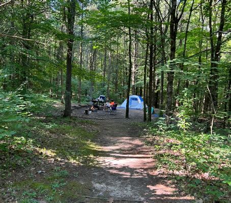 Ferne Clyffe State Park Tent Camping - Year of the Dad