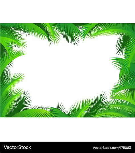 Palm leaf border Royalty Free Vector Image - VectorStock