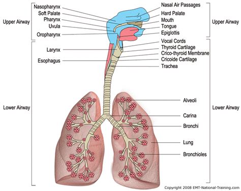 Deep Breathing Yoga Exercises | Deep breathing exercises, Breathing ...