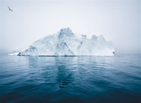 What is an Iceberg? Everything You Need to Know - American Oceans